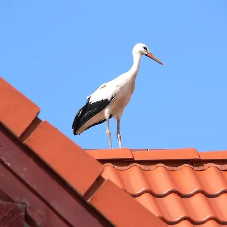 Kalski Dworek *