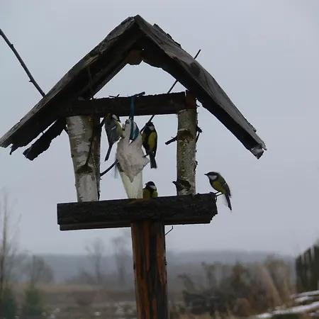 Ubytování v soukromí Kalski Dworek Węgorzewo