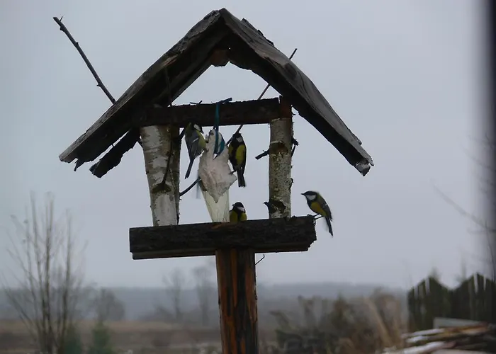 Accommodatie bij particulieren Kalski Dworek Węgorzewo